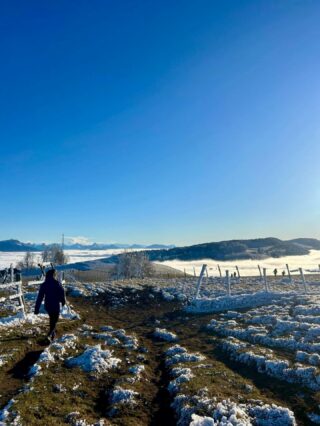 Leading up to NYE, the city of Geneva, Switzerland, where I live, was shrouded in cloud for days on end. Day after day after day… Somber, flat, unforgiving skies… In fact, according to the @tdgch , Geneva was experiencing its darkest December in 23 years and its 4th darkest since 1896 when the city’s sunlight first began to be recorded. 

(More than once I thought of the Ray Bradbury story, “All Summer in a Day.” 😳)

Unless… you made the steep climb up to the top of one of the mountains surrounding the city, up to above the clouds! Look closely at the fields of white in this pic, taken during our annual Christmas Day hike, that my older daughter is walking towards. That’s clouds, not snow.  Up high, the sun was brilliant.

As a writer, I do love a metaphor, so I’m just going to leave that with you all to do whatever you want with, as we head into 2026.  Love to all.