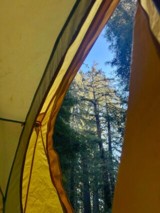 My daughter sent this photo recently (📸 @laurakorki ), and I keep returning to it over and over